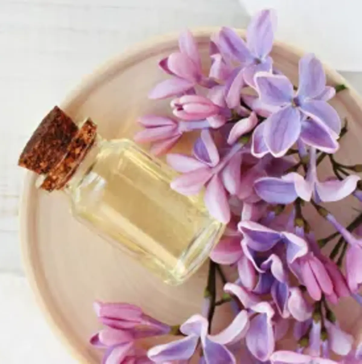 TALLER CÒCTEL DE FRAGÀNCIES